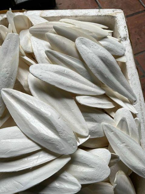 Vietnam Natural Dried Cuttlefish Bone Squid Aquarium Bulk Wholesale Supply - Image 1