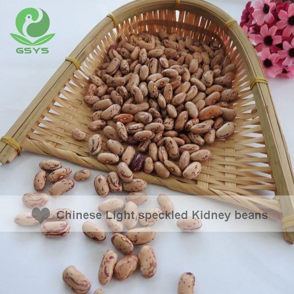 Light Speckled Kideny Beans - Image 2