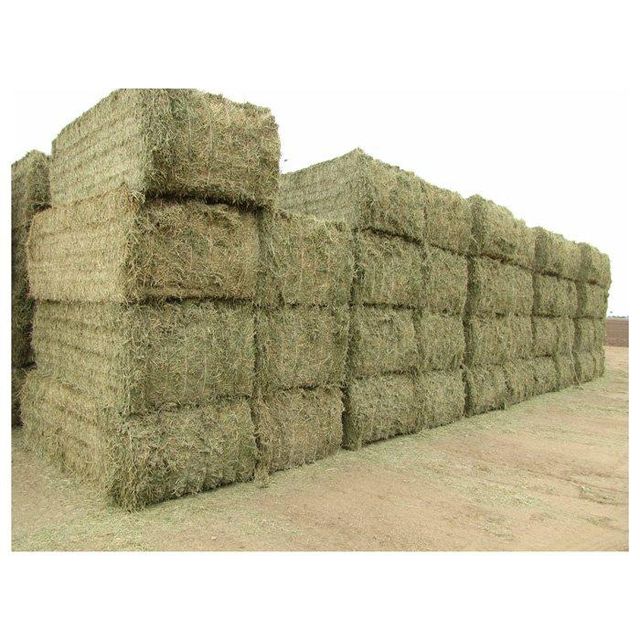 Quality alfalfa hay bays / Alfafa pellets / Dehydrated Alfalfa cubes timothy hay Cheap Top Quality Alfafa Hay for Animal Feeding Stuff Alfalfa ,hay/Timothy hay - Image 3