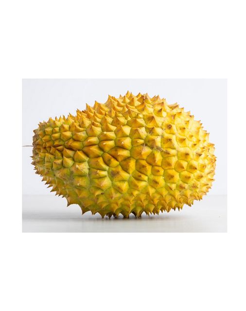 Wholesales High Quality Export Grade Delicious Sweet Fresh Fruits Best Seller New Crops Thai Fruit Thai Durian Monthong - Image 4
