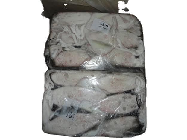 SQUID CUTTLEFISH OCTOPUS WHOLE CLEANED FROZEN SEAFOOD PRODUCT - Image 6