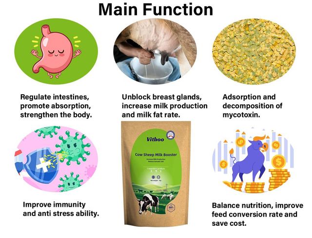 Calf and Lamb Milk Replacement Powder Growth Support Cattle Fast Growth Increase Survival Rate Sheep Feed Additive Milk - Image 4