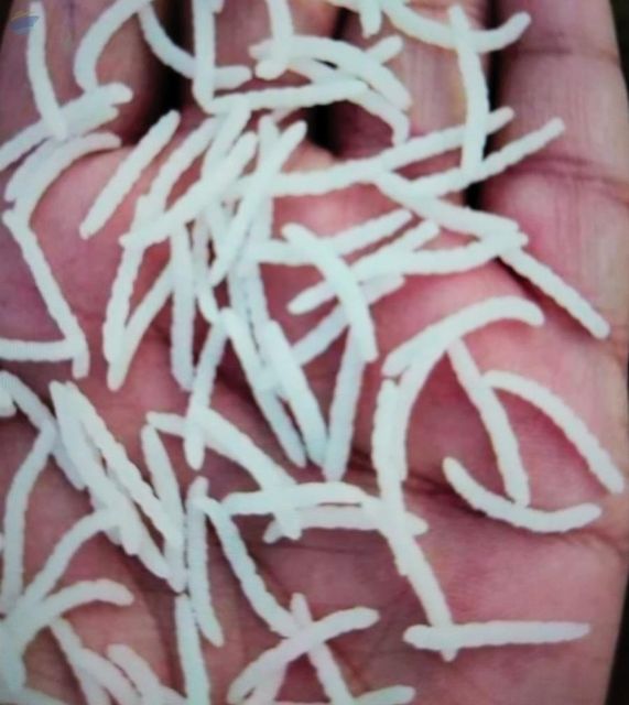 Ponni Non Basmati Rice - Image 1