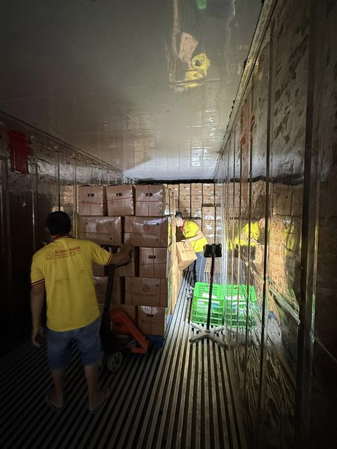 Song Nam ITD expands green skin pomelo exports  – Your Trusted Pomelo Export Partner - Image 4