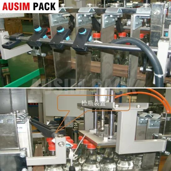 High Speed Automatic Case Packer Carton Packing Machine Box Filling Machine - Image 5