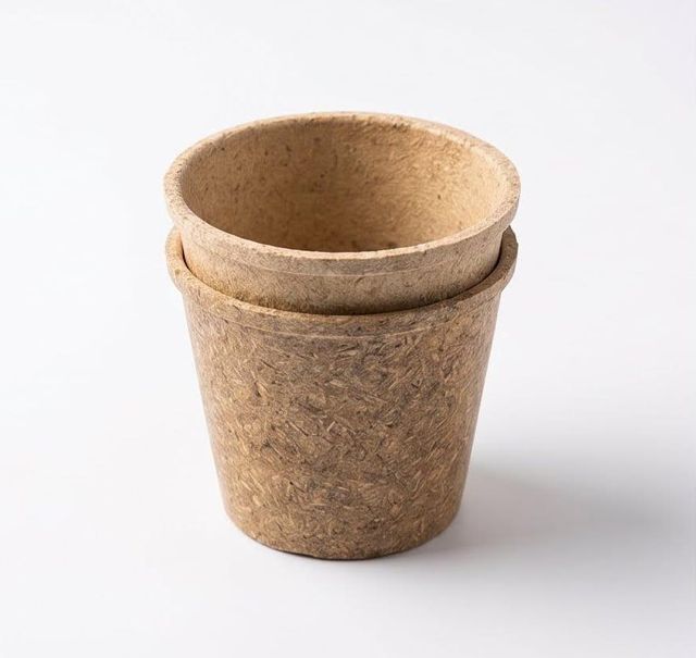 Biodegradable and compostable tableware - Image 2