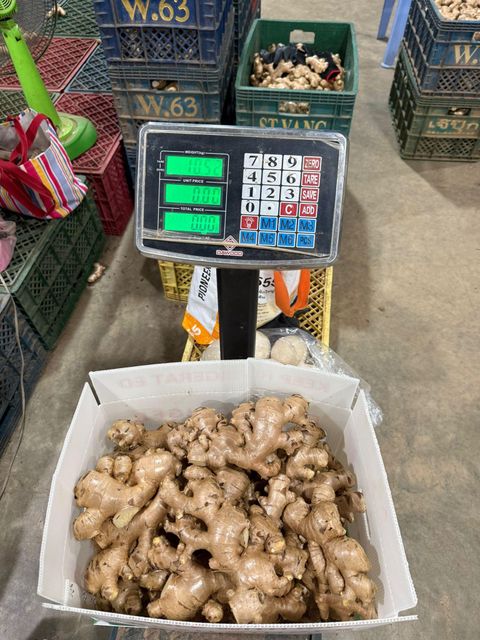 Fresh Ginger Price Per Metric Usd 960.00 / Metric - Image 3