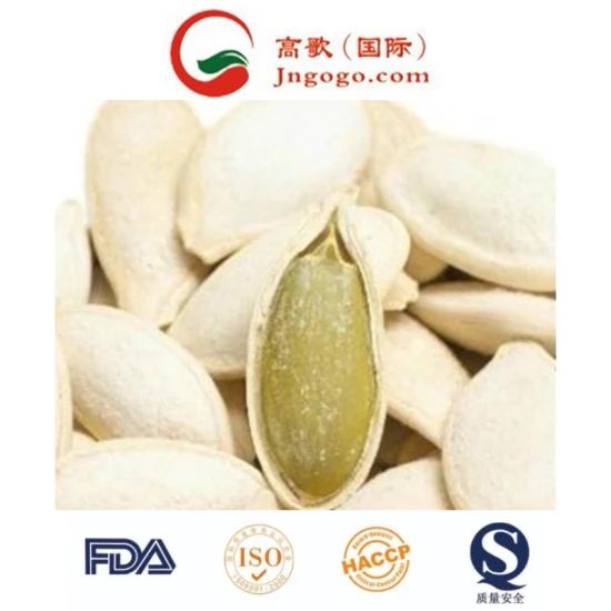 Exporting White Pumpkin Seed Kernels - Year-Round Supply Origin China Trademark gogo Processing Raw New Crop in Sep. HS Code - Image 1
