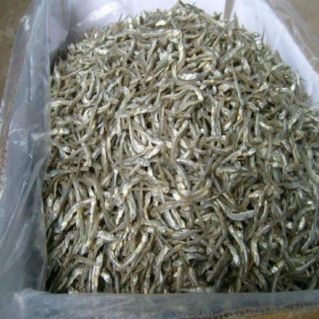 ANCHOVY FISH Grade AA Type FISH Shape LONG Packaging 50KG BAG Max. Moisture (%) 12 Shelf Life 24 MONTHS Drying Process - Image 3