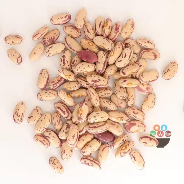 Raw Fresh Mottled Pinto Beans whole Pinto Bean for food OEM ODM Client Packaging - Image 5
