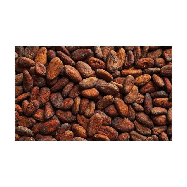 dried cocoa beans for chocolate making cocoa butter extraction and cocoa powder production high quality natural cacao beans suitable for chocolate factories bakeries and gourmet dessert recipes - Image 3