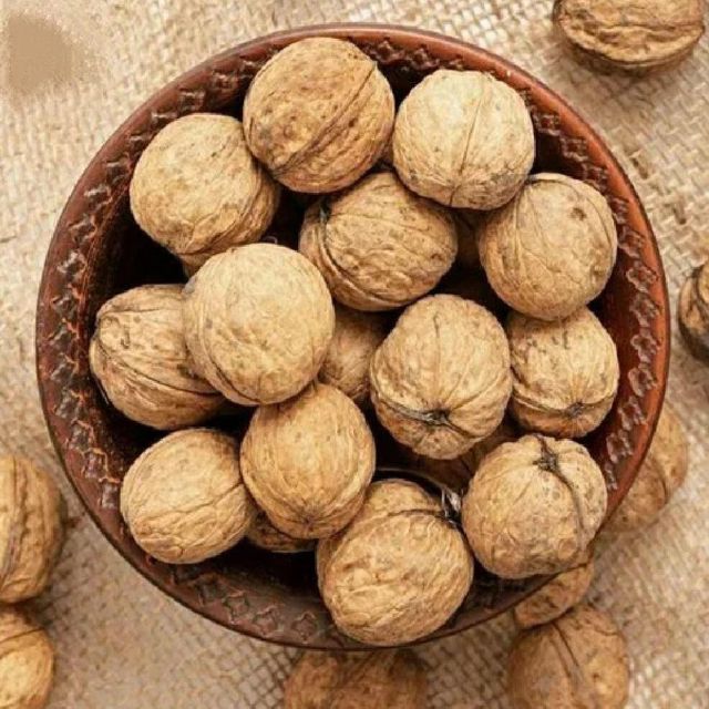 Premium Fresh Walnuts Bulk Supply Natural Healthy Snack Wholesale Perfect for Baking Cooking and Food Processing - Image 3