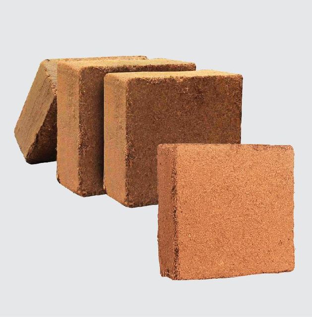 Coco peat low EC, high EC and Coconut husk chips Width > 120 cm to 200 cm Length > 120 cm to 200 cm - Image 1