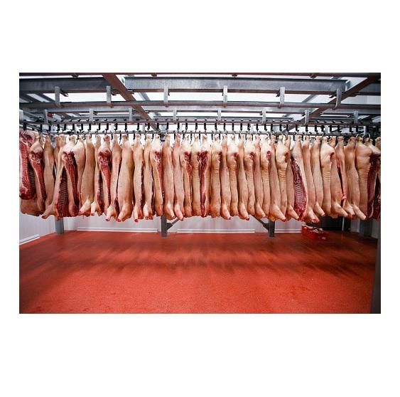Frozen Clean Beef Carcasses For sale At Best Price - Image 4