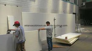 Cold Storage Room for Milk and Fish - Image 3