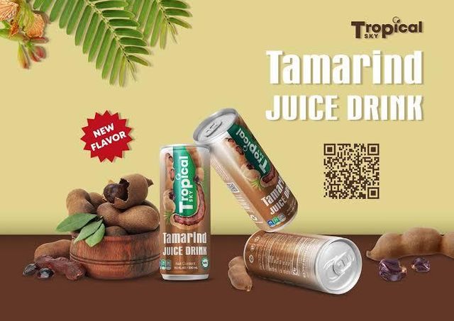 NATURAL FRESH TAMARIND FOR JUICE & DRINK VIETNAM BEST SELLING TAMARIND PACK IN BLOCK EXPORT STANDARD TAMARIND WITH/WITHO - Image 2