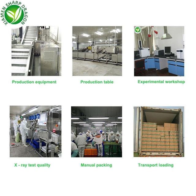 SD IQF New Season Fresh Frozen oyster Meat - Image 5