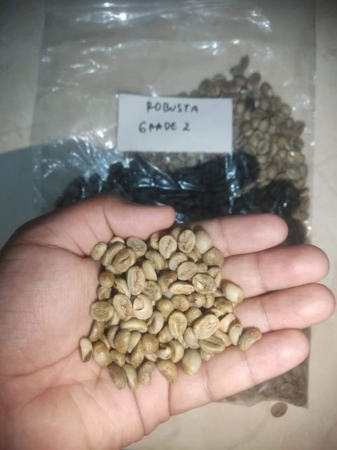 Robusta green Bean  – product photo 3, product detail gallery