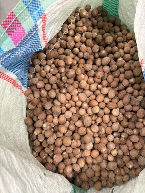 Betel Nut/Areca Nut Max. Moisture (%) 2% Packaging 40’/25 MT (Approx), 60 kg Jute Bags Type 80-85% -90-95% Good cut, Split, Oven Dried and - Image 2