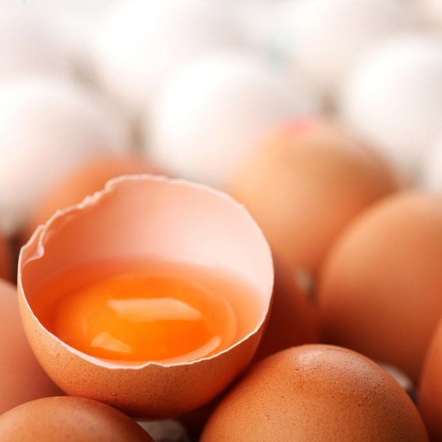 Fresh Table Eggs Produced From Free Range Hens High Quality Table Eggs Packed With Natural Goodness - Image 4