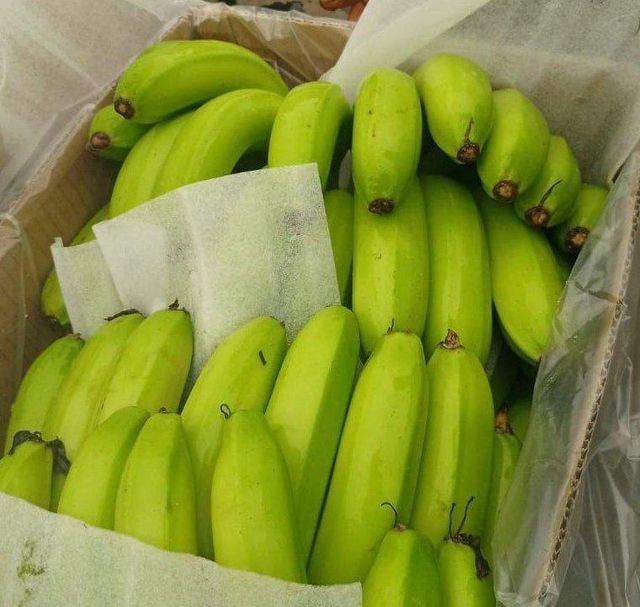 Banana Grade A Type Cavendish Packaging - Image 1