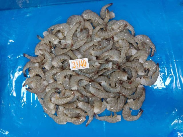 Vannamei HLSO Frozen Shrimps (31/40) - Image 1