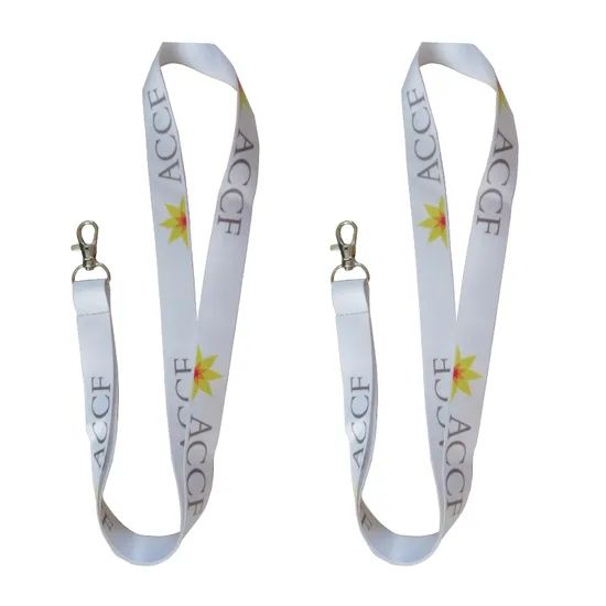 Manufacturer Custom Logo Personalized Neck Strap Keychain Nylon Lanyards with Logo Custom Polyester Lanyard - Image 6