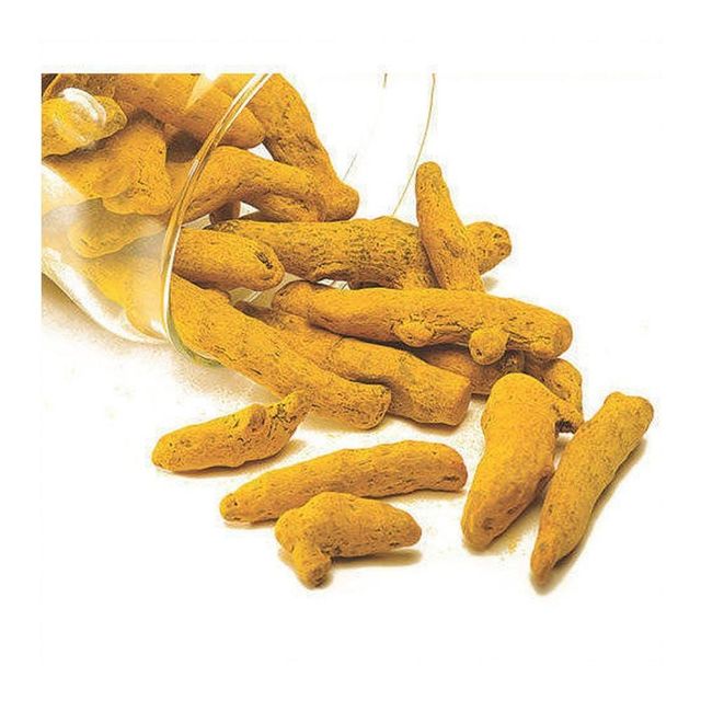 Turmeric Finger – product photo 3, product detail gallery