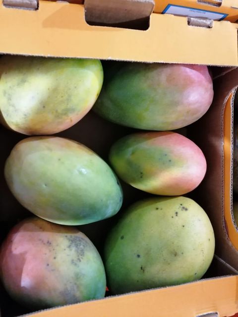 Fresh Mango - Image 5