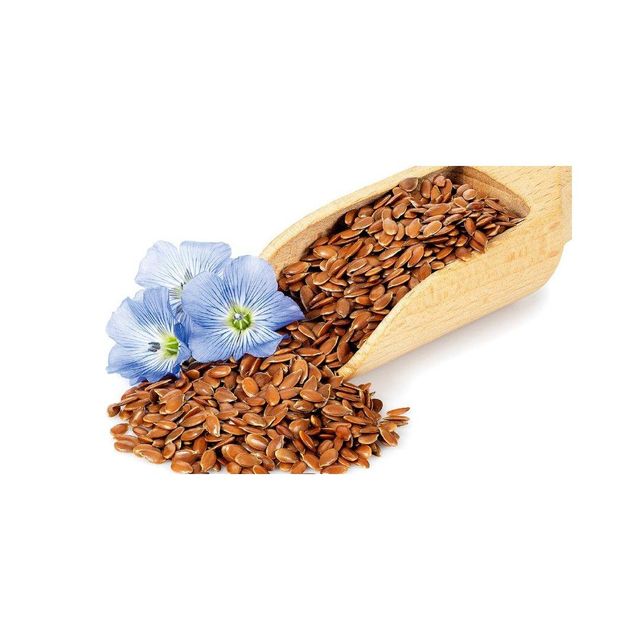 Wholesale flaxseed linseed bulk available for global buyers - Image 5