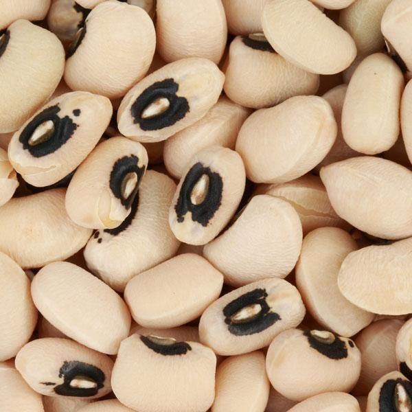 Black Eye Beans Black Eyed Peas for Sale Grade A Color All Shape Oval Style Dried Weight (kg) 25 Packaging As requested Cultivation Type - Image 1