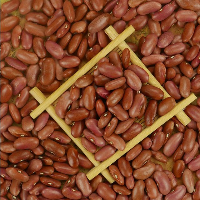 Chinese Raw Red Fagioli Rossi Red Kidney Beans Wholesale Price - Image 6