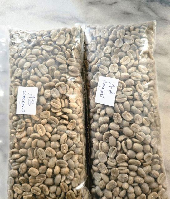 WASHED ARABICA COFFEE, GRADE AA, AB & CPB - Image 1