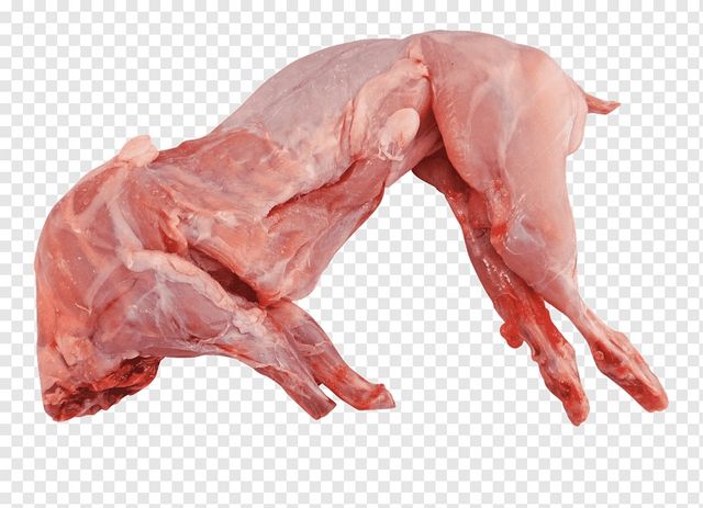 Fresh Frozen Rabbit Meat Halal Grade Rabbit Meat at Cheap Price - Image 6