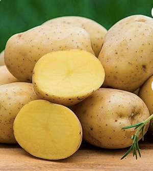 New Crop Potato Fresh Normal Potato Wholesale Fresh Potato.Customize Fresh Potato Chips Production Line - Image 4