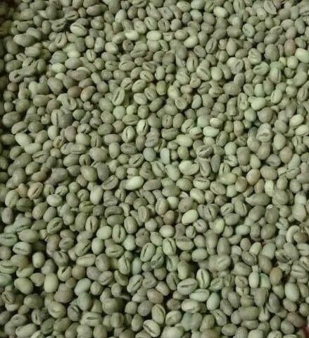 Premium Green Coffee Beans – Arabica & Robusta | Wholesale Bulk Supply - Image 5