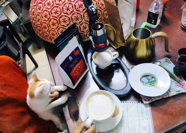 Roasted Custom Blend Bold Sweet aftertaste Flavor Dark Roasted Vietnamese Coffee Beans Blend Arabica and Fine Robusta - Image 3