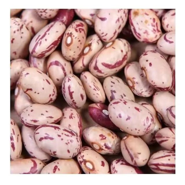 Fresh Red Speckled Beans Whole Dried Pulses Natural Taste High Nutrition Rich Fiber Ideal For Soup Stew Curry And Bulk Food Supply Buy Now Fast Delivery Premium Quality Wholesale - Image 4