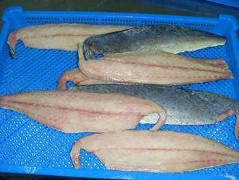 Frozen Mahi Mahi Fish Premium Cut Fresh Frozen Selection For Import Export Seafood Supply And International Buyers - Image 4