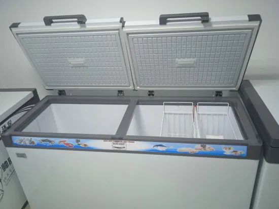 Chest Freezer Ice Cream Display Freezer Frozen Meat/ Fish Deep Freezer - Image 6