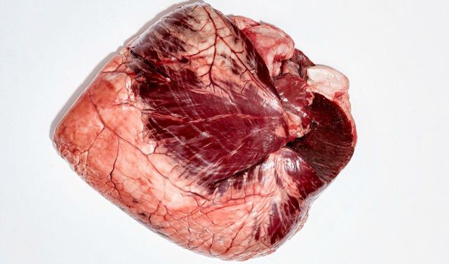 Top Quality Frozen Pork Heart Natural Fresh Frozen Pork Heart Ready For Bulk Wholesale Sale Worldwide - Image 1