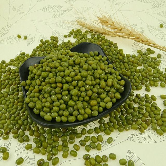 Green Gram Vigna Green Beans Mung Beans Green Moong - Image 4