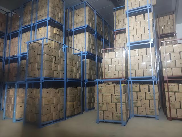 China High Quality Ginger for Wholesale - Image 4