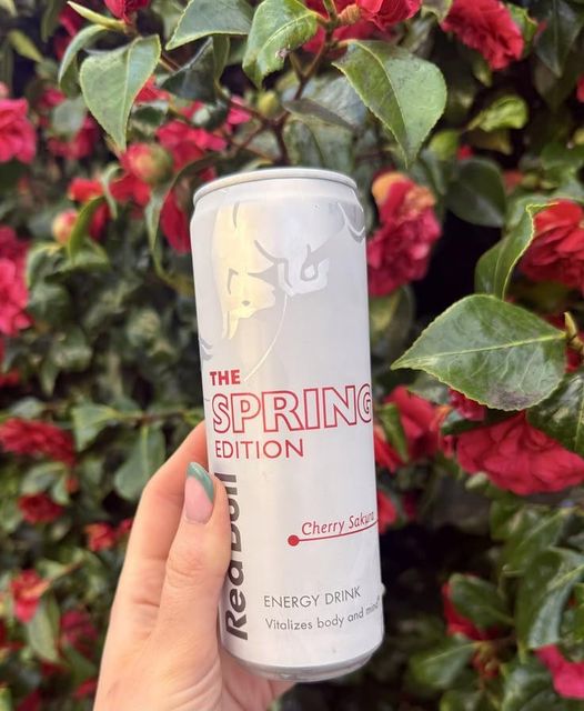 Redbull Spring Edition Premium Refreshing Energy Beverage Cheap Price Bulk Supply - Image 3