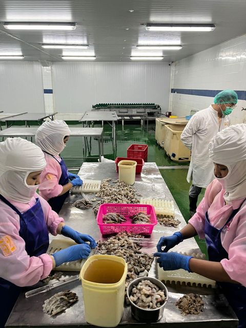 Vannamei Shrimp - Image 3
