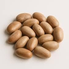 Jackfruit Seeds – Nutritious, Protein-Rich Superfood | Natural Snack & Flour - Image 2