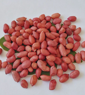 Peanuts raw peanut red skin peanut.High Quality 100% Natural Pure Bold Peanuts / Groundnuts Kernel Available in Bulk - Image 2