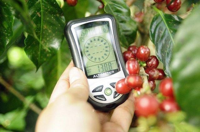 Coffee & Coffee Bean Price Per Kilogram Usd 5 Supply Chain Reliability Dependable Quality Assurance Backed By Quality Assurance - Image 2
