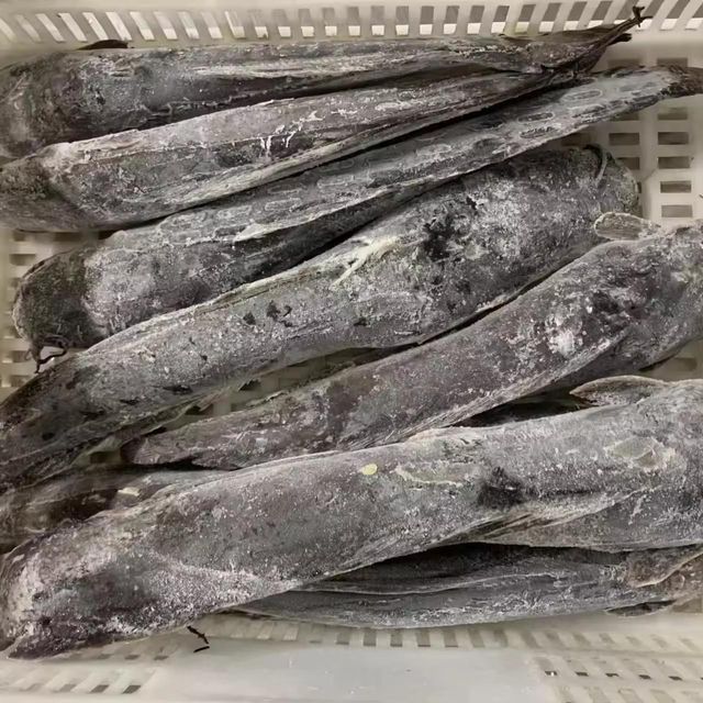 Frozen Catfish Skin On Fillet Premium Seafood Product With Carefully Processed Texture For Export Markets - Image 1
