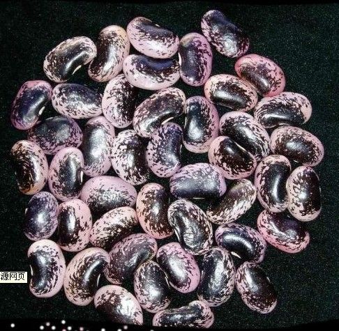 Black And Pinto Beans Yunnan Dried Large Black Speckled Kidney Bean - Image 2